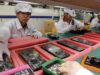 «Apple» 10 ildə ilk dəfə olaraq «iPhone» və «iPad» istehsalını dayandırdı